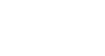 Promoción en acompañantes NEW 100!