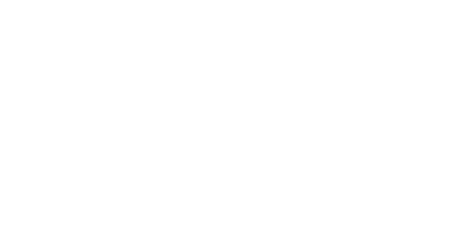 Promoción en acompañantes NEW 100!