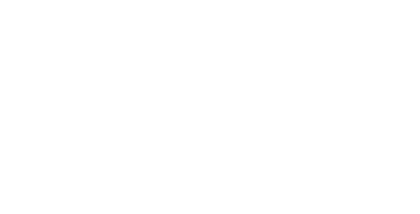 Promoción en acompañantes NEW 100!